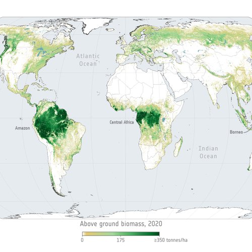 Above_ground_biomass