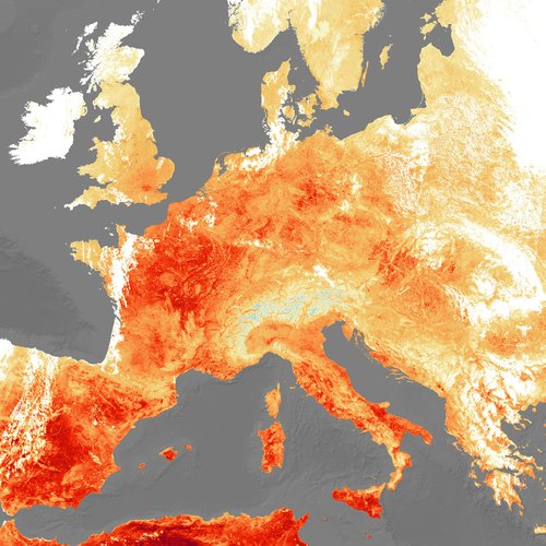 Land-Surface-Temp-CCI_1920.jpg