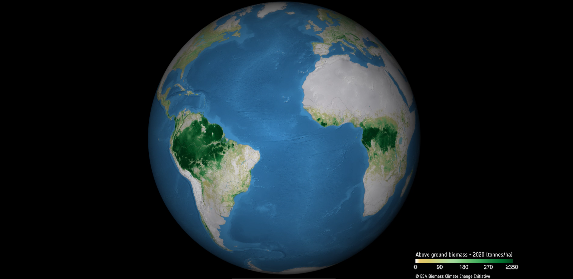 Above ground biomass is a crucial variable for understanding the evolution and potential future changes in the climate system, at a local, regional and even global scale.  generated by ESA’s Climate Change Initiative Biomass project