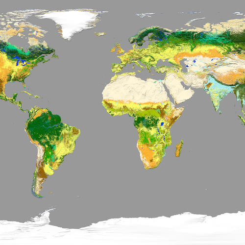 landcover-map-1