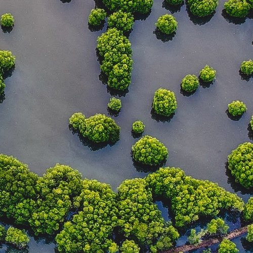 wetlands - a source of methane emissions pexels-teofilo-narvaez-13710992